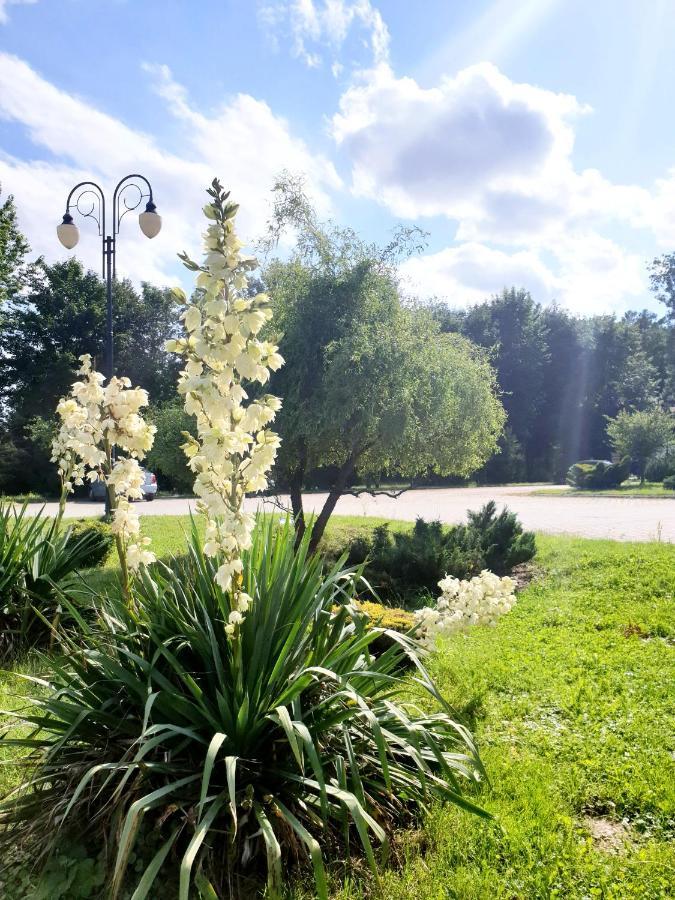 Willa Park Ostrowiec Świętokrzyski Εξωτερικό φωτογραφία