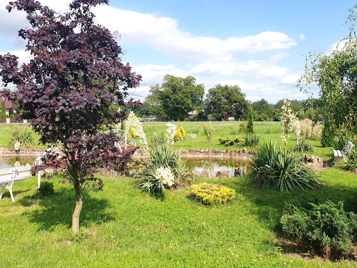 Willa Park Ostrowiec Świętokrzyski Εξωτερικό φωτογραφία