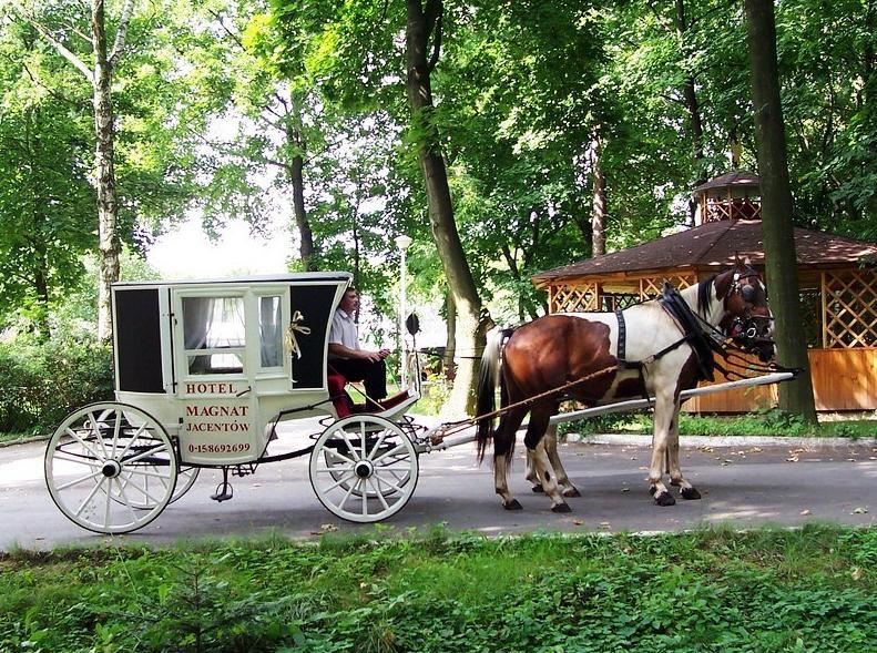 Willa Park Ostrowiec Świętokrzyski Εξωτερικό φωτογραφία